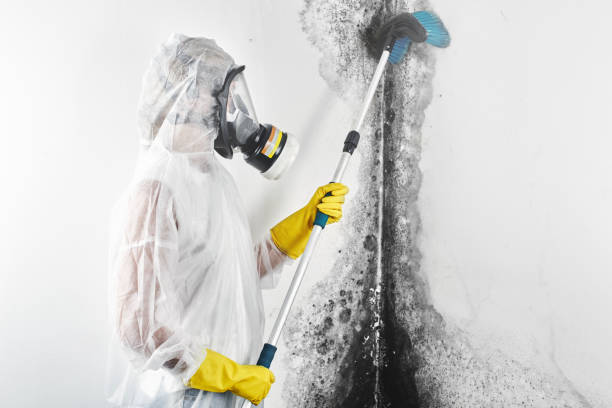 Best Asbestos and Lead Testing During Mold Inspection  in Chelsea, OK