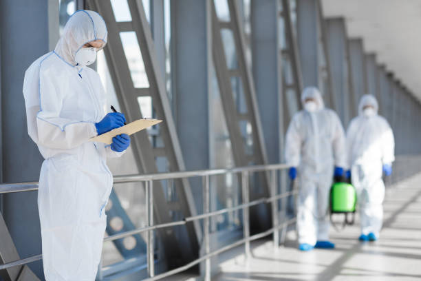 Best Attic Mold Removal  in Chelsea, OK