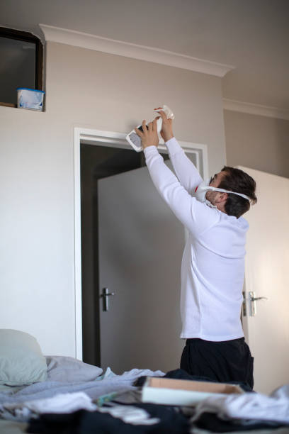 Best Black Mold Removal  in Chelsea, OK