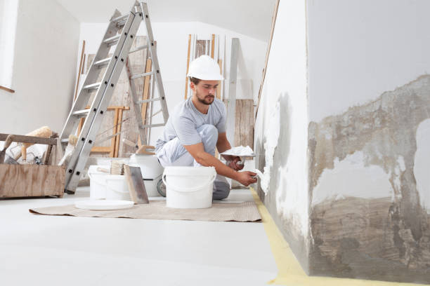 Best Mold Remediation for Rental Properties  in Chelsea, OK