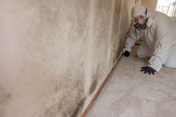 Mold Documentation for Insurance Claims in Chelsea, OK