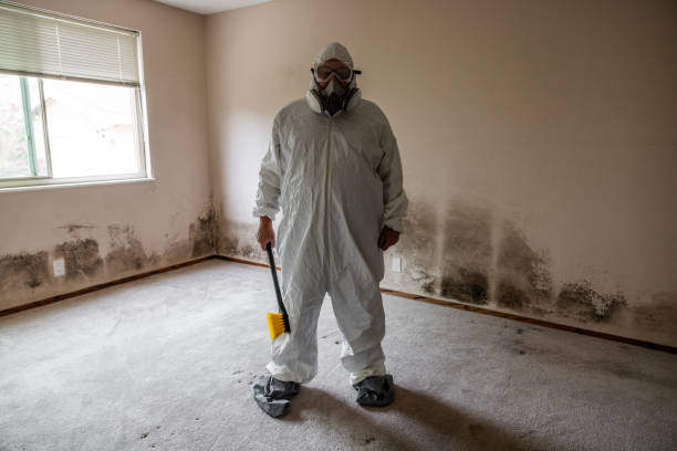 Best Mold Removal for HVAC Installations  in Chelsea, OK
